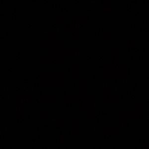 Meet your Posher, Star